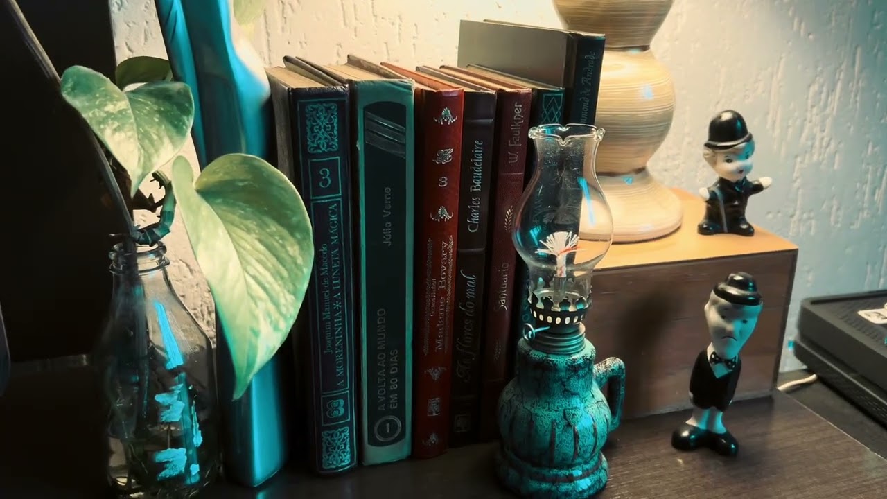 Diário Visual- Rotina em casa, meu aniversário, passeio pelo Jardim Botânico e cantinhos da casa