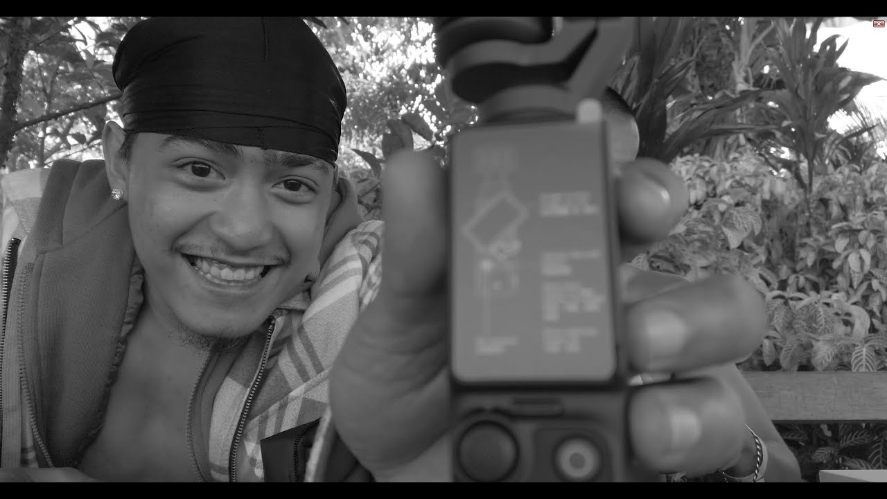 PLASID LIFE | UNBOXING