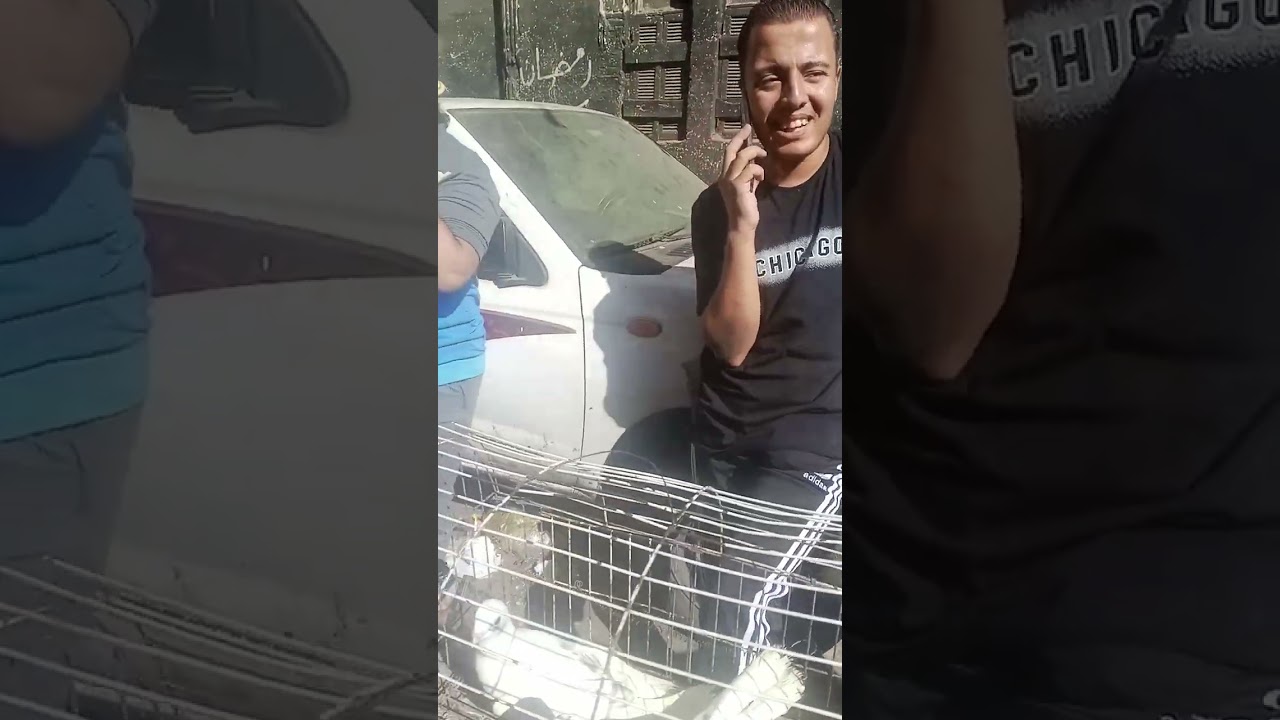 سوق الجمعه الاسكندريه اسعار وتفصيل السوق الاسكندريه  ٥/٩/٢٠٢٥
