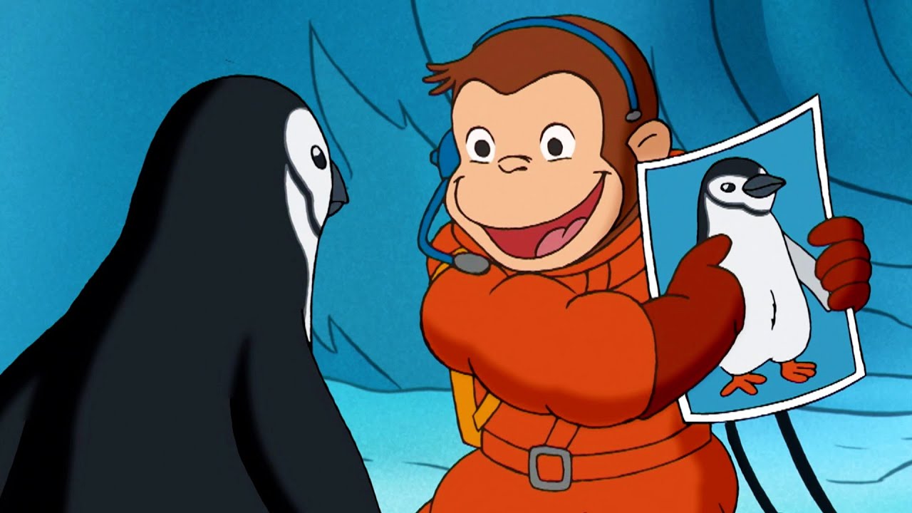 George alla ricerca dei pinguini 🐵 Curioso Come George 🐵 Cartoni per Bambini