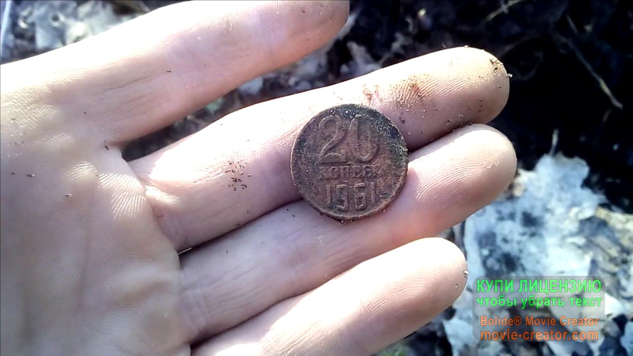 вот это коп я понимаю монета на монете MINELAB Go-Find 11