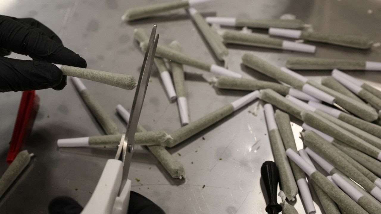 California cannabis mega-factory eyes federal legalization of weed