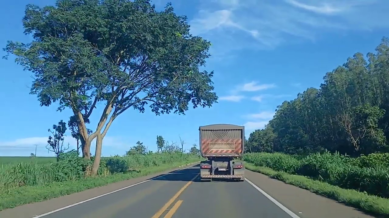 BR 364/ MT.    Buracos/ mato / imprudência/ descaso