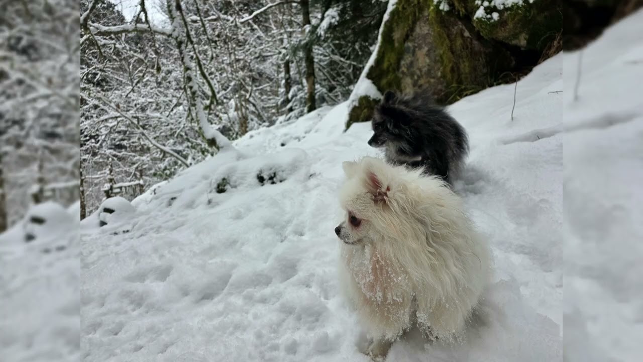 kruth sous la neige