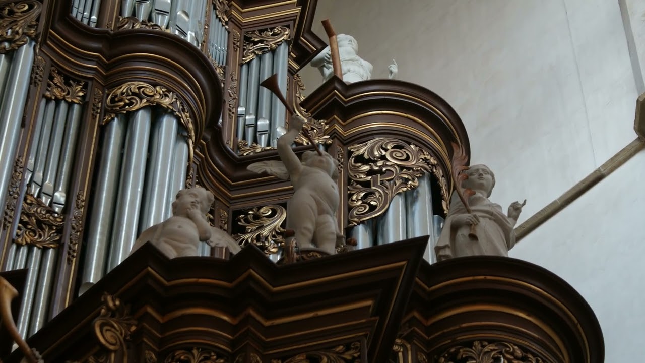 Triosonate e-moll BWV 528 - J.S.Bach | Ronald IJmker