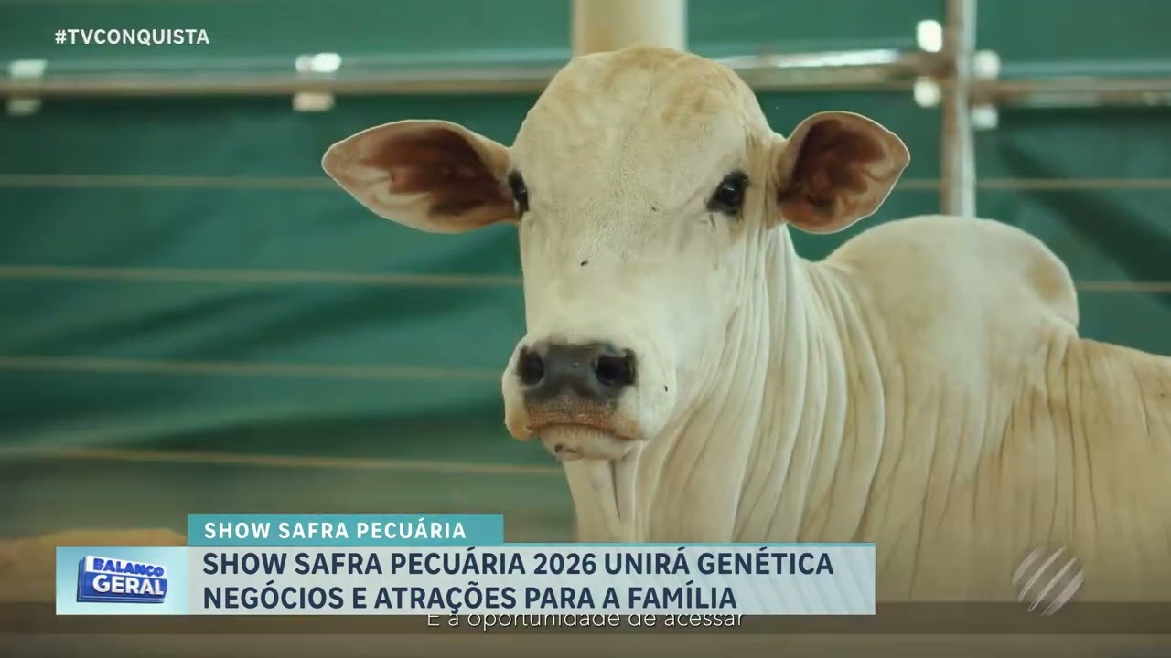 Show Safra Mato Grosso 2026 destaca força da Pecuária no agronegócio