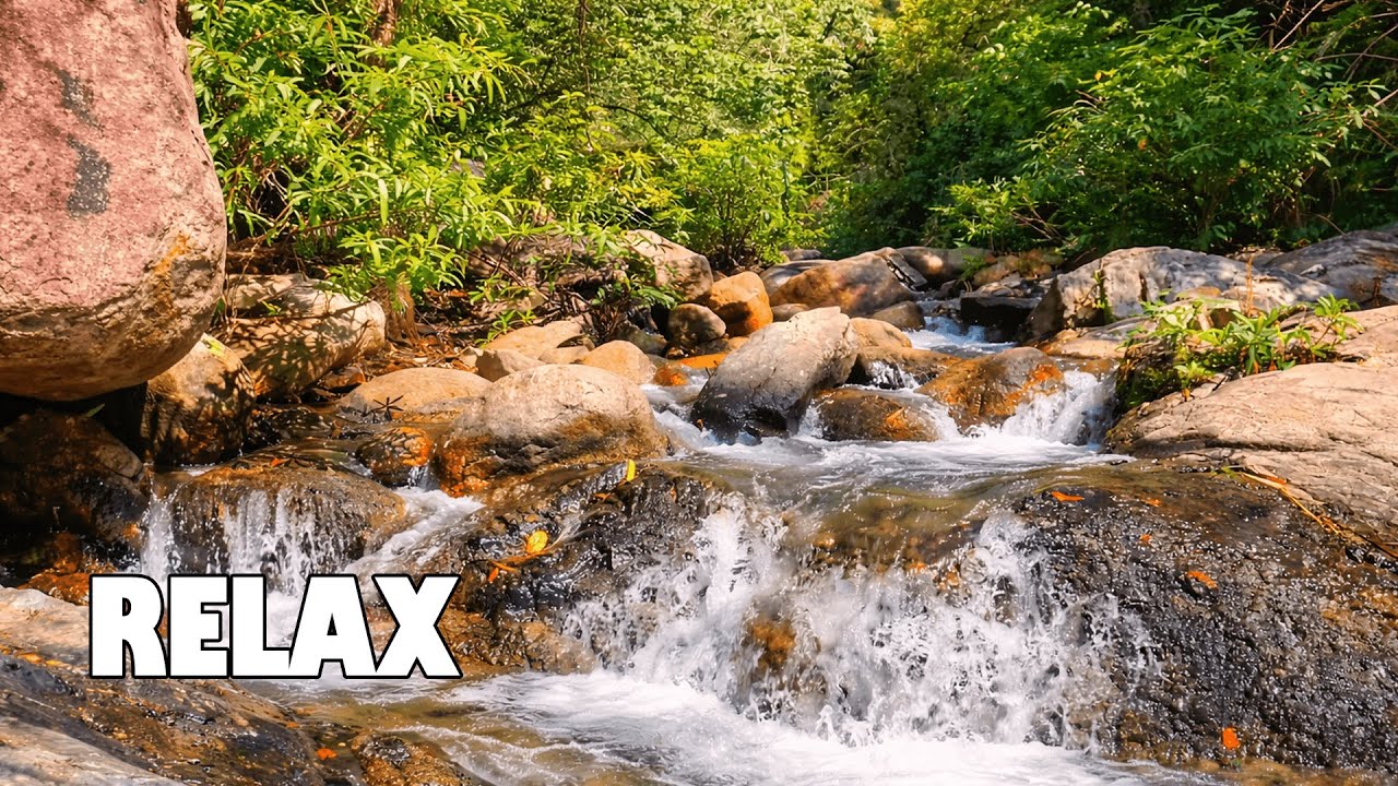 Water Stream Relaxation 🌿 Meditate, Sleep & Find Inner Peace
