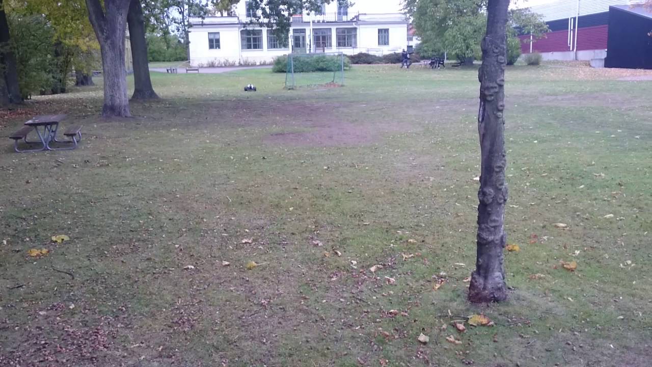 Mtxl in the local park
