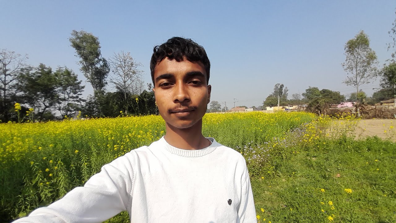 Ye kon Se color ke flower 🌼 hai