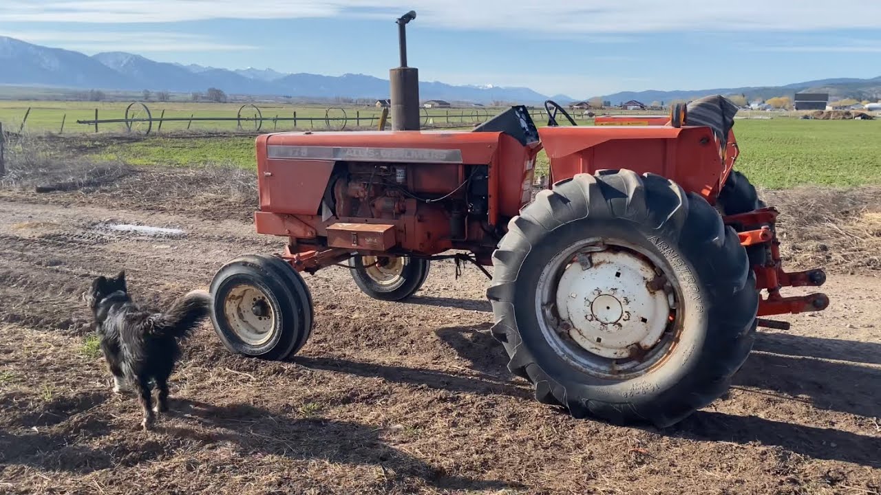 Harrowing The Cattle Pasture