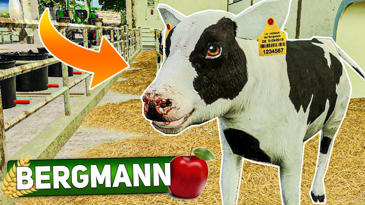 LS19 HOF BERGMANN #19: KÄLBER auf dem Hof! | LANDWIRTSCHAFTS SIMULATOR 19