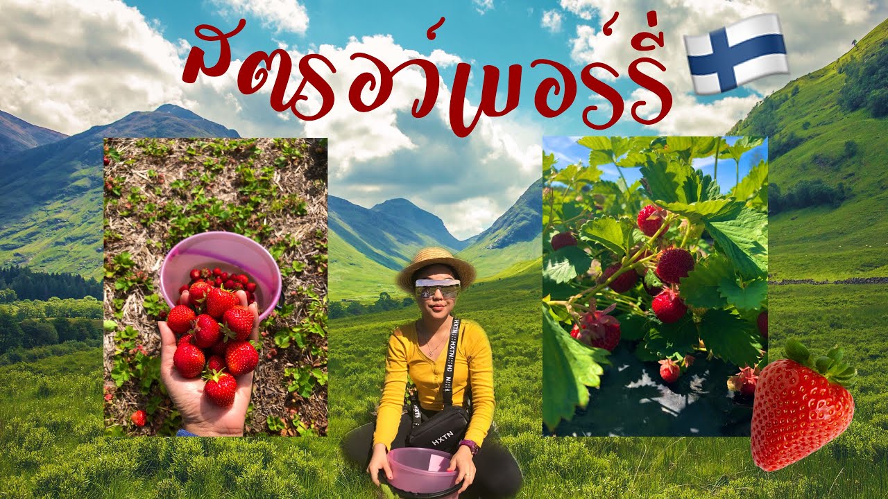 シสตรอว์เบอร์รี่นี่ที่ฟินแลนด์ :: MO A NA โมอาน่า