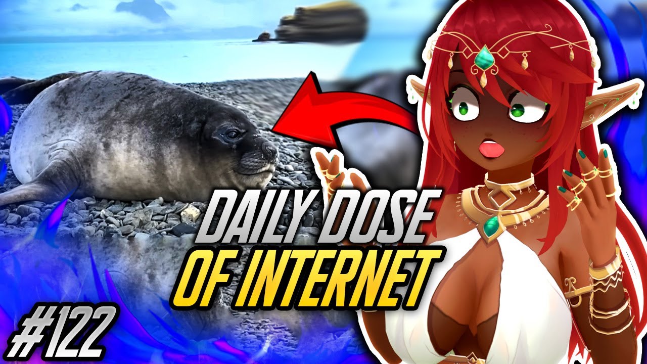 THAT'S A CHONKY BOY!! | Daily Dose of Internet Reaction