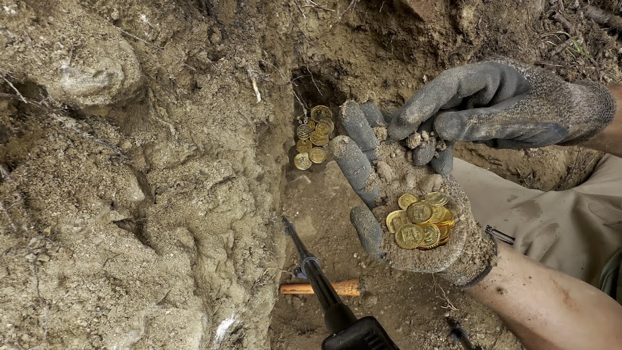 Сокровище найдено в таинственном лесу, продолжение следует...