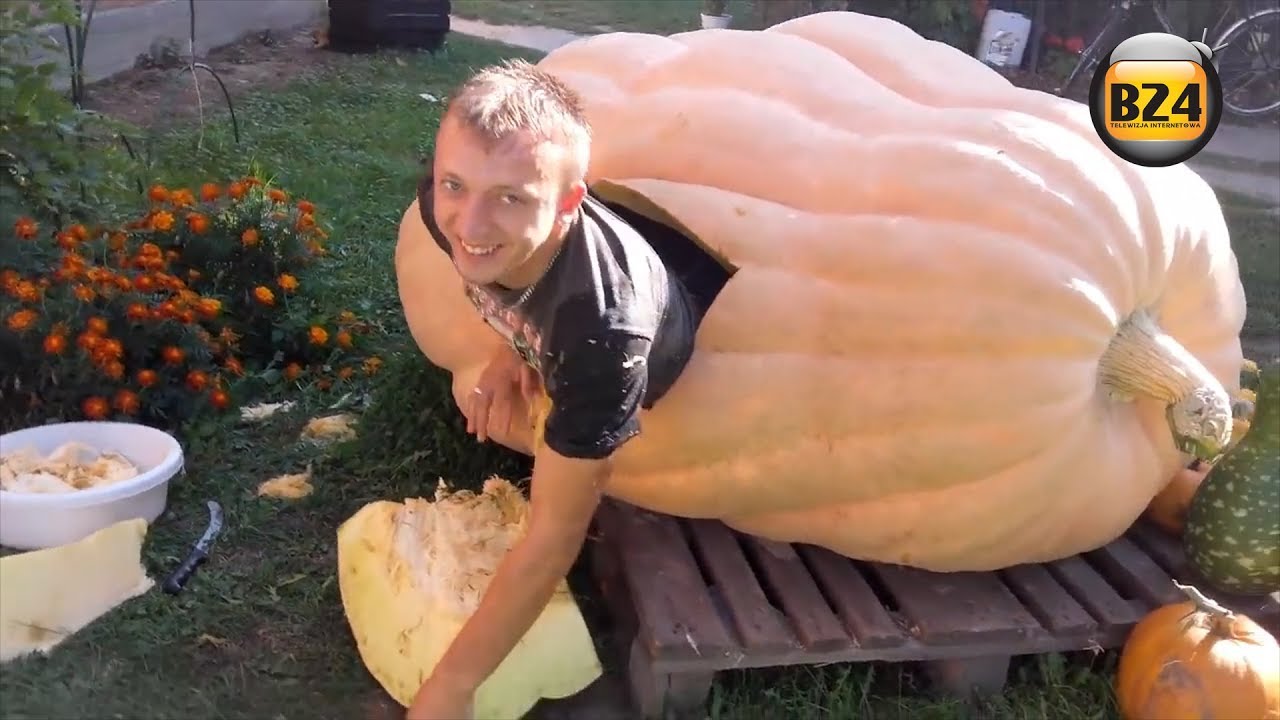 700 kg w dyni