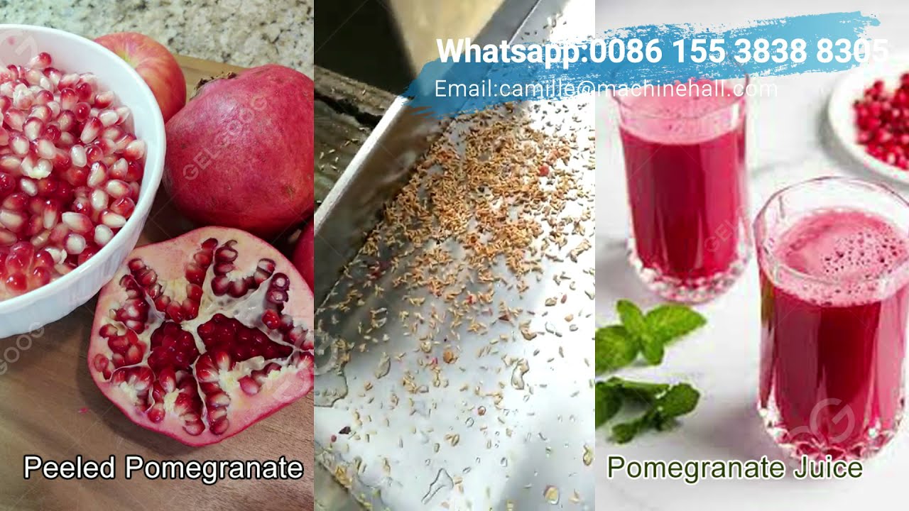 Complete Pomegranate Juice Processing Plant-Pomegranate Processing Industry