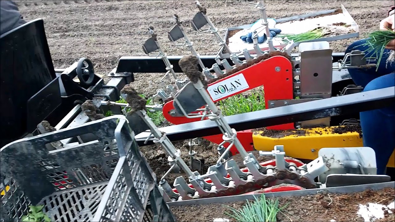 Sadzarka chwytakowa S-241 Model N (3 rzędowa), sadzenie pora (leek planting)