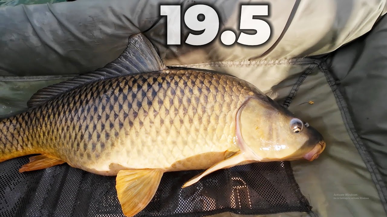 3 Hours of UNCUT Carp Fishing and Complaining