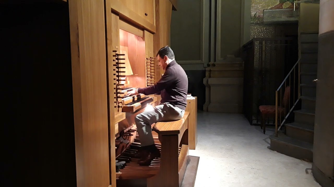 J.S. BACH: Toccata D minor 