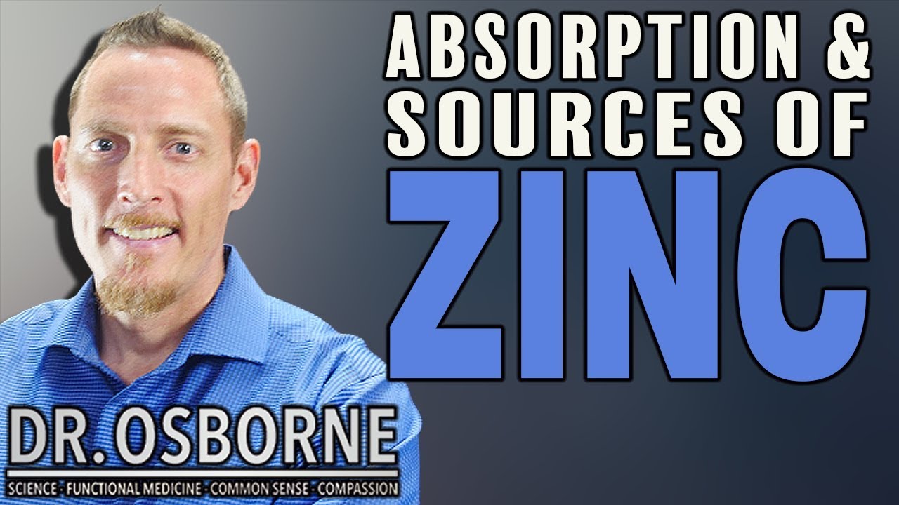 Best Food Sources for Zinc