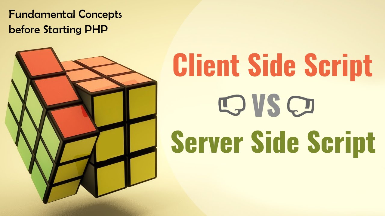 Understand Client Side Script and Server Side Script in Hindi/Urdu