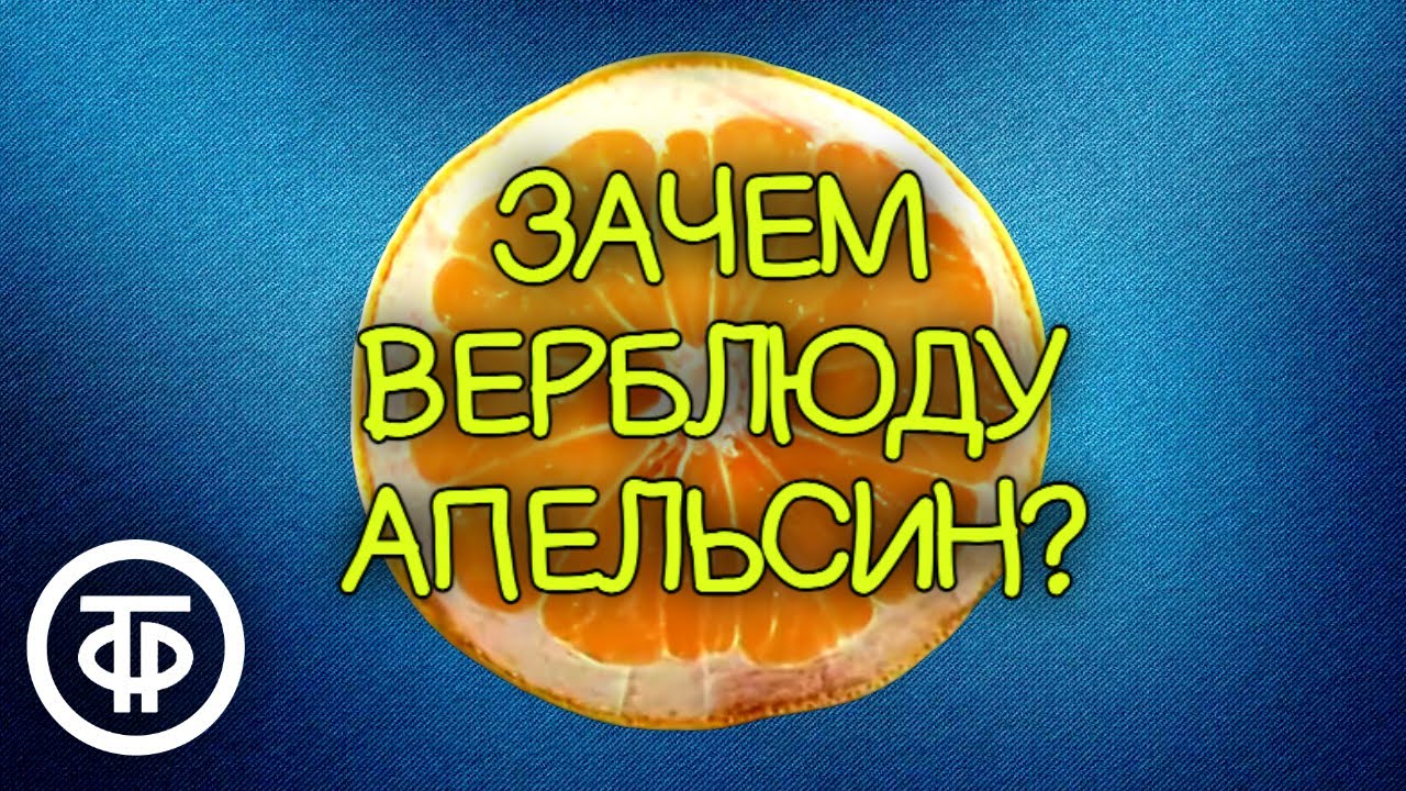 Зачем верблюду апельсин? Мультфильм (1986)