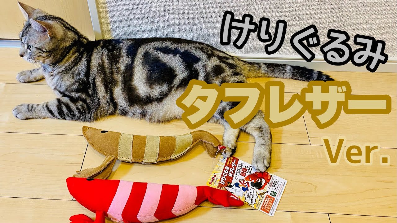 【エビ】けりぐるみタフレザー ver.をケリケリ　Cats Playing With Leather Cat Toys 【アメリカンショートヘア】猫のおもちゃ