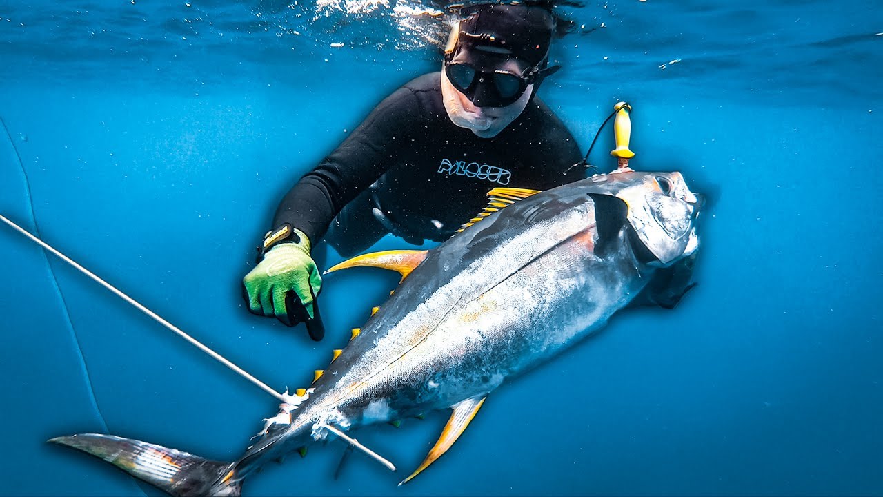 SPEARFISHING TUNA from BEACH and WILD BOAR HUNT (Birthday Vlog)