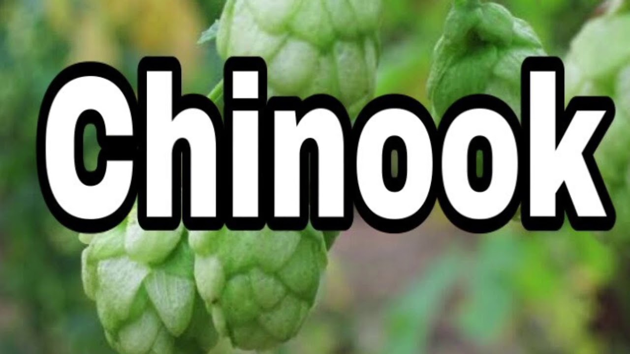 Conoce tu l&uacute;pulo: Chinook
