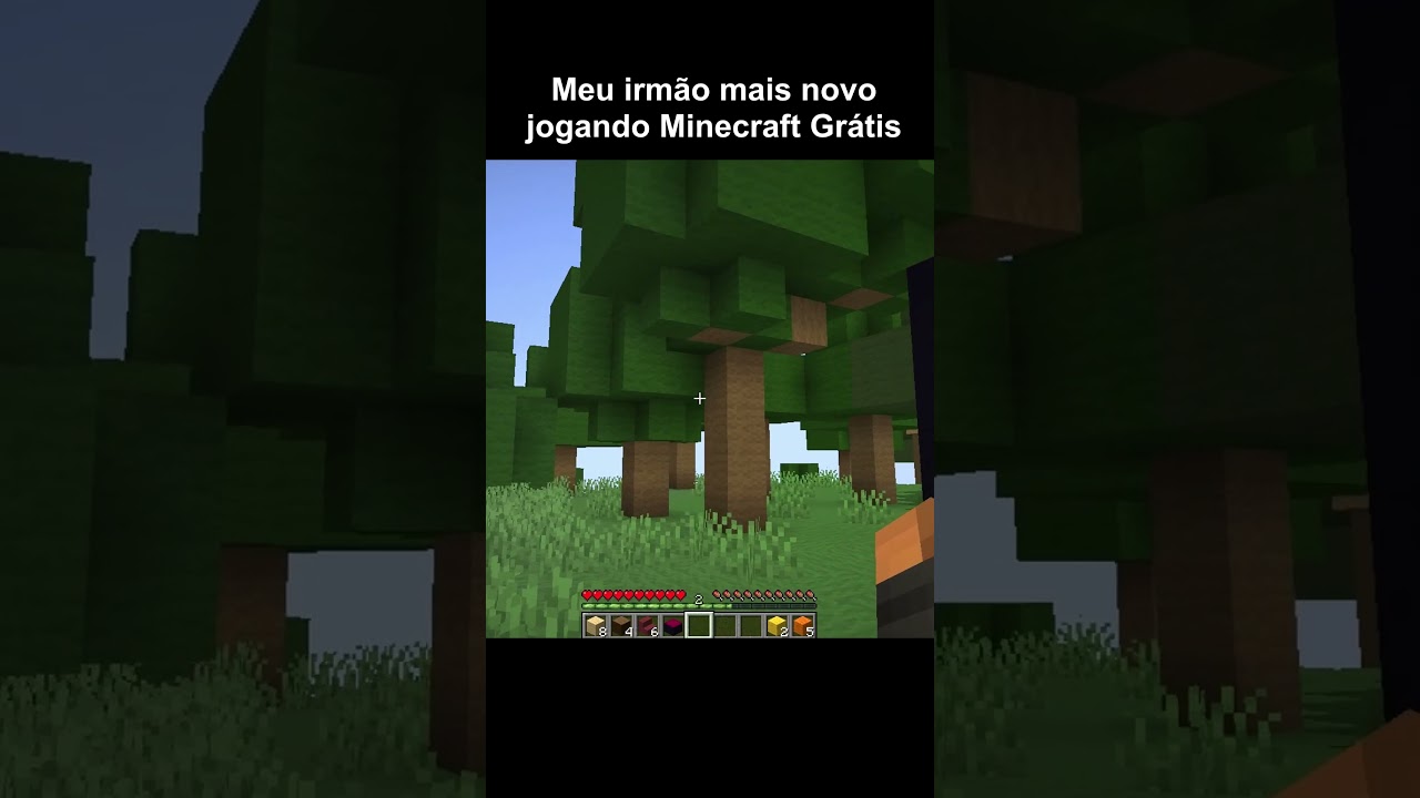 Minecraft Edi&ccedil;&atilde;o Gr&aacute;tis 💀