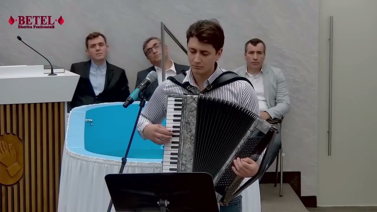 Flavius Niculcea ~ 