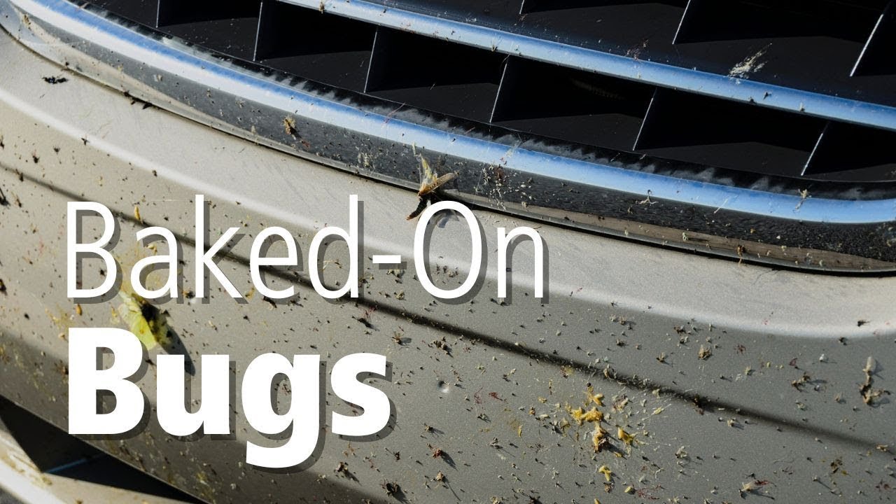 How To Clean Bugs Off Your Car