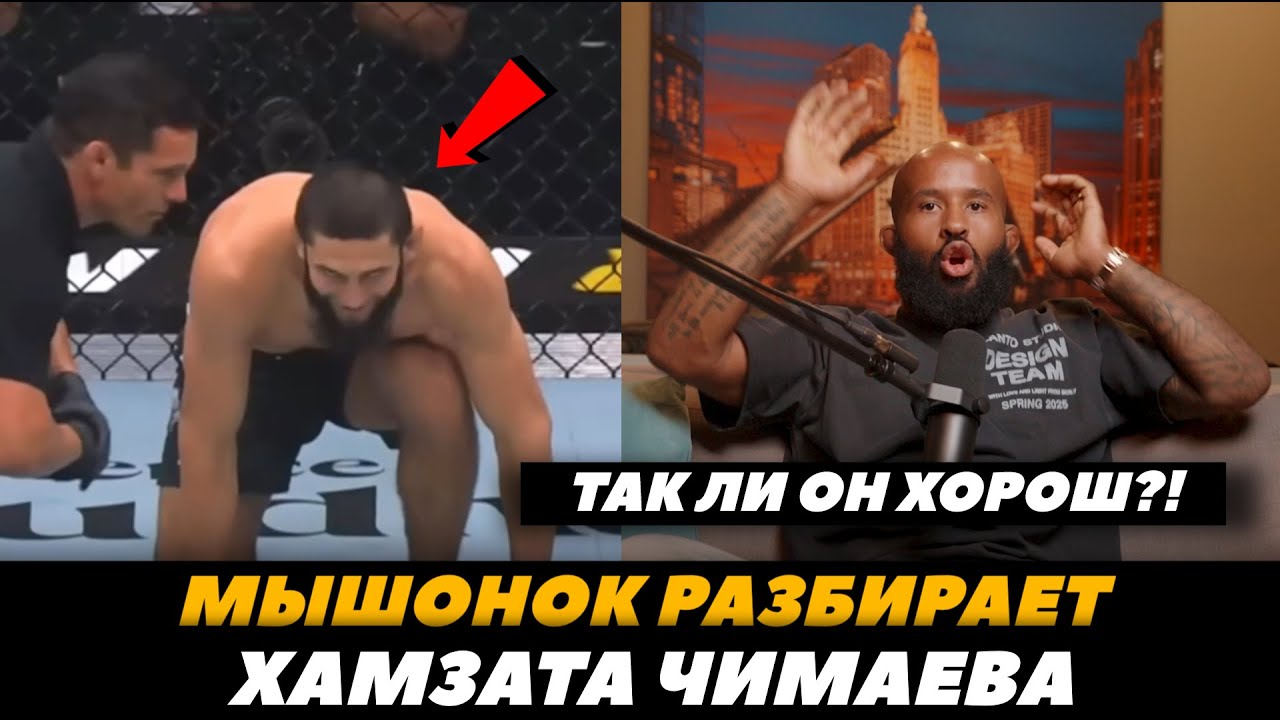 Могучий Мышонок разбирает Хамзата Чимаева «Так ли он хорош?!» / Чимаев - Уиттакер | FightSpaceMMA