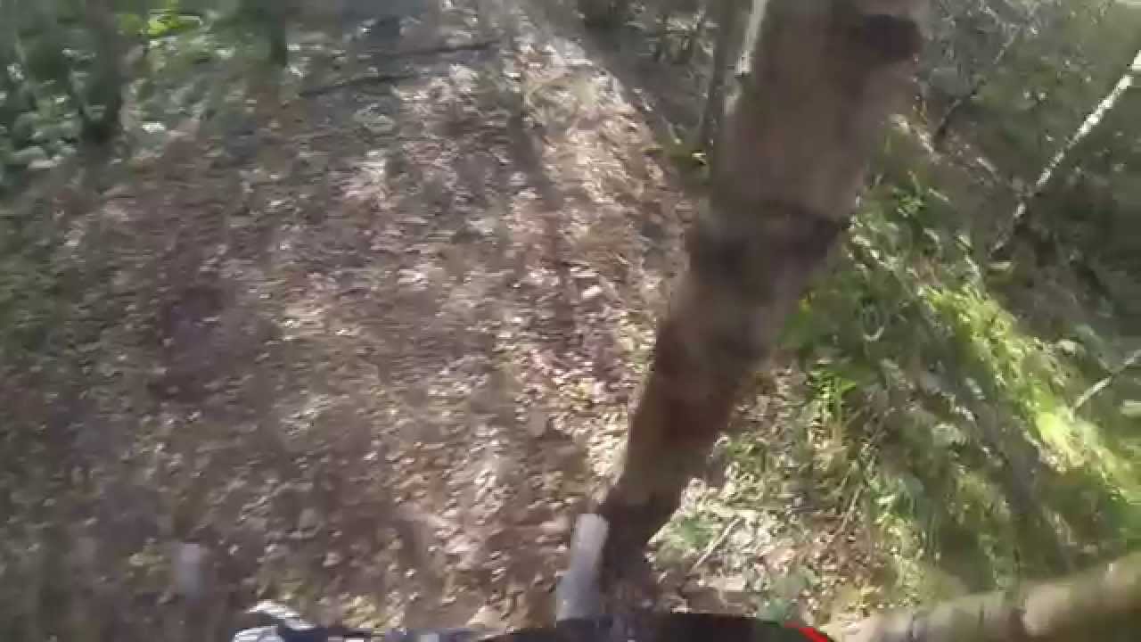 Glentress EWS Trails