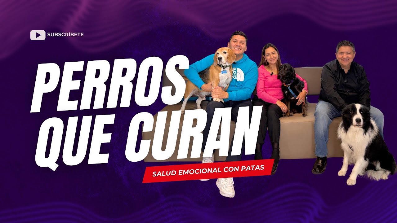 PERROS de SOPORTE EMOCIONAL que CAMBIAN VIDAS 🐶💥 Nadie te cuenta esto...