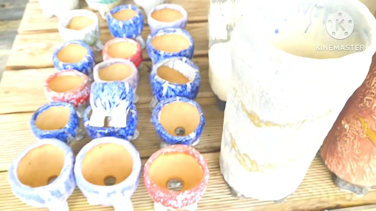 화분판매 전국최저가 폭탄쎄일 010 4499 2456 7만이상 무료배송 주문은 문자로주세요 