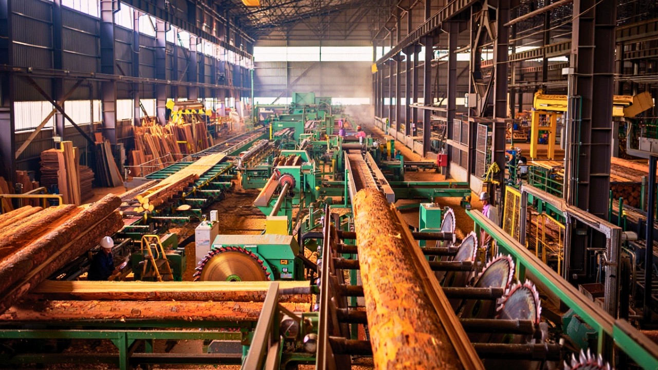This Is How Million-Dollar Furniture Wood Is Made