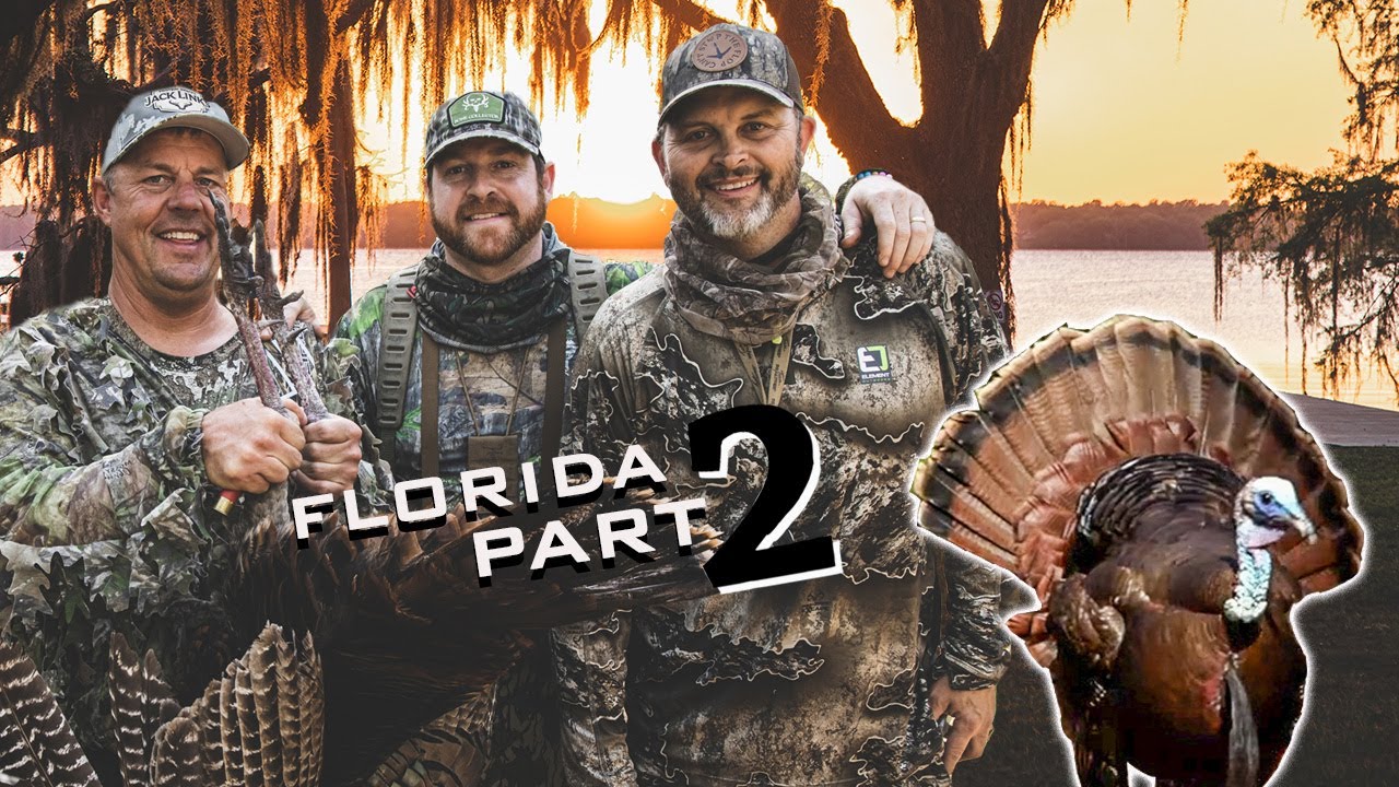 Osceolas at 2 Steps! 3 Turkeys with Jack Link