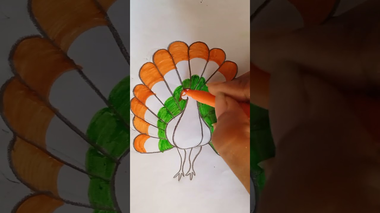 National Bird🇮🇳🦚easy drawing #subscribe #peacock #flag #support #edit #share #art #drawing #bird