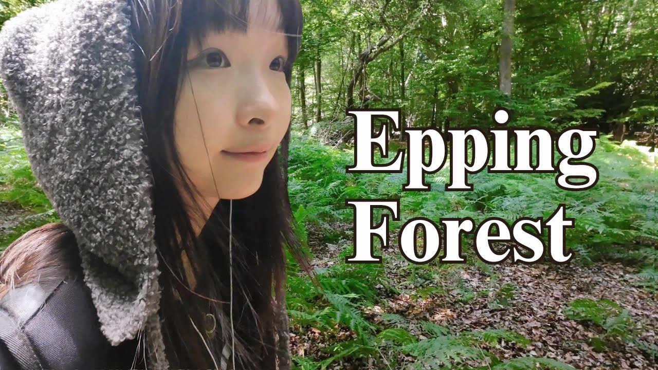The Best London Summer Forest Walk - Chingford to Epping through Epping Forest