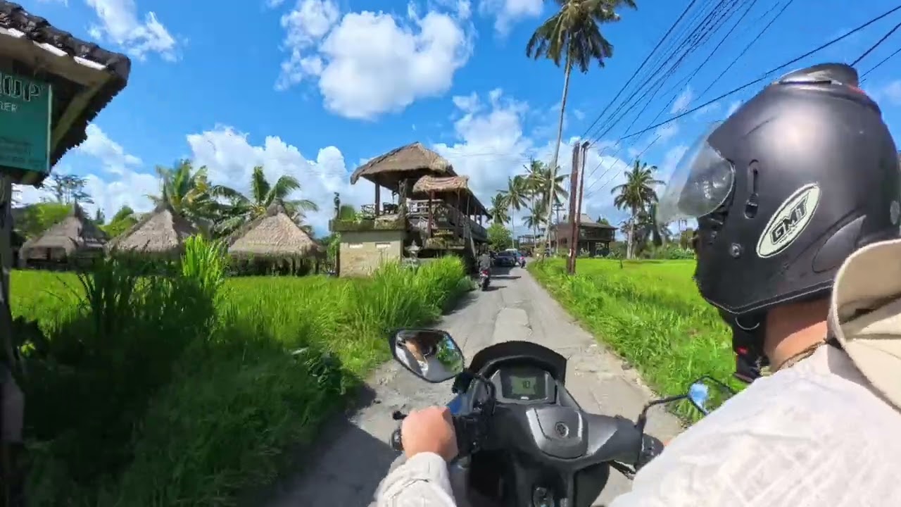 Bali by Scooter: A Journey Through Ubud’s Green Paradise