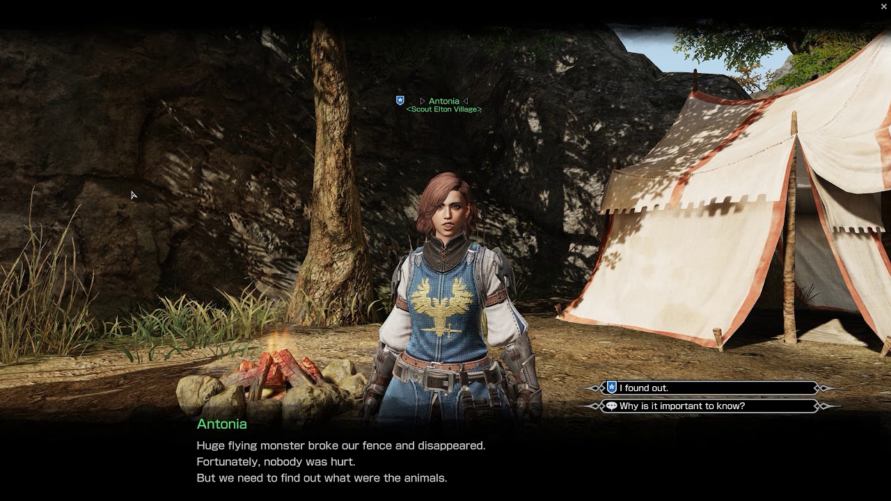 bless online japan english patch paladin