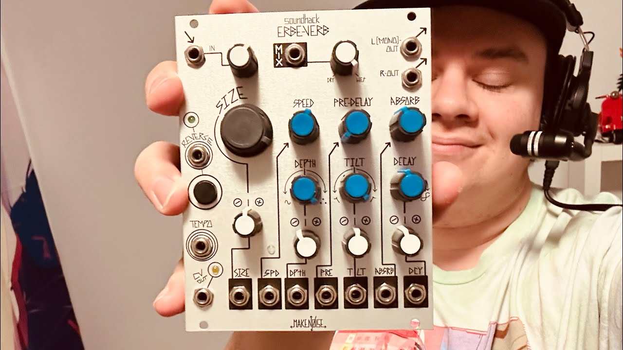 Rambling About: Make Noise Erbe-Verb with tafony