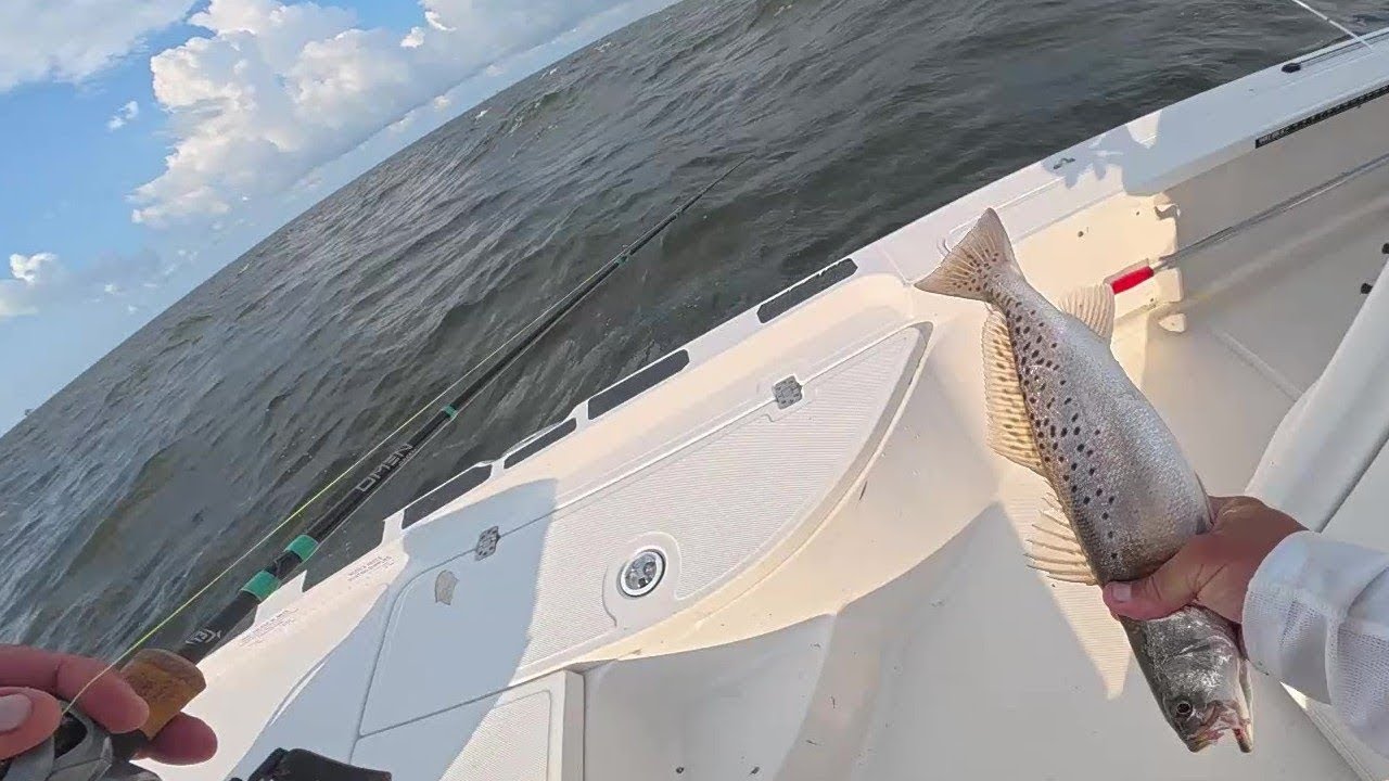 Speckled Trout Fishing On A Rough Day 