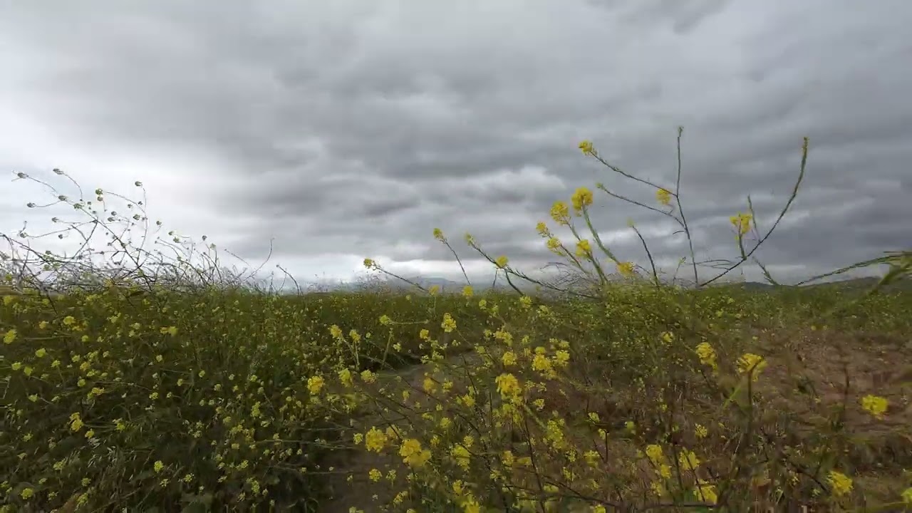 Chino Hills State Park