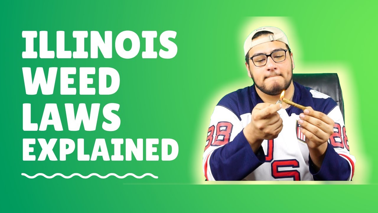 Weed Laws Explained | Rolling a Swisher Sweet