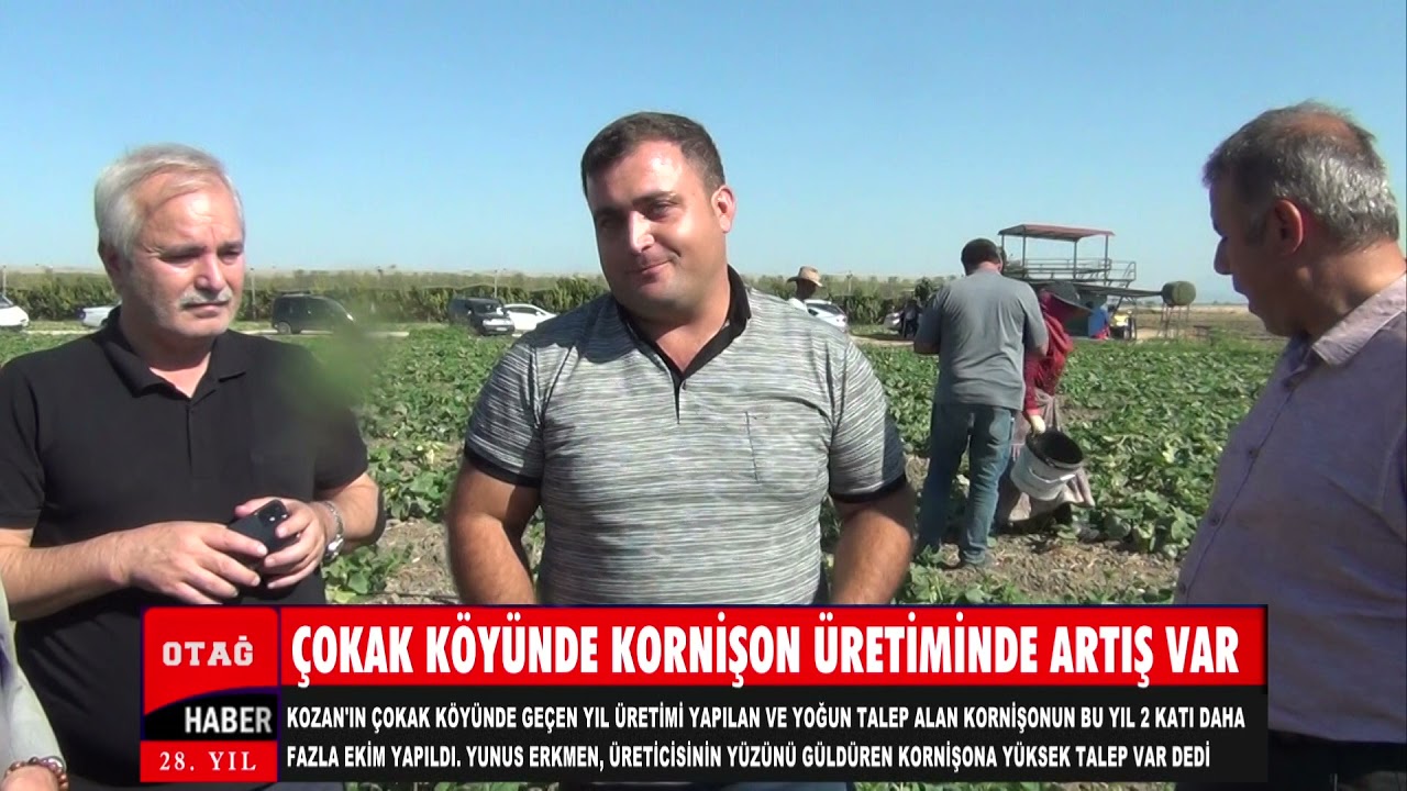 Kornişon üretimi Çokak Köyü