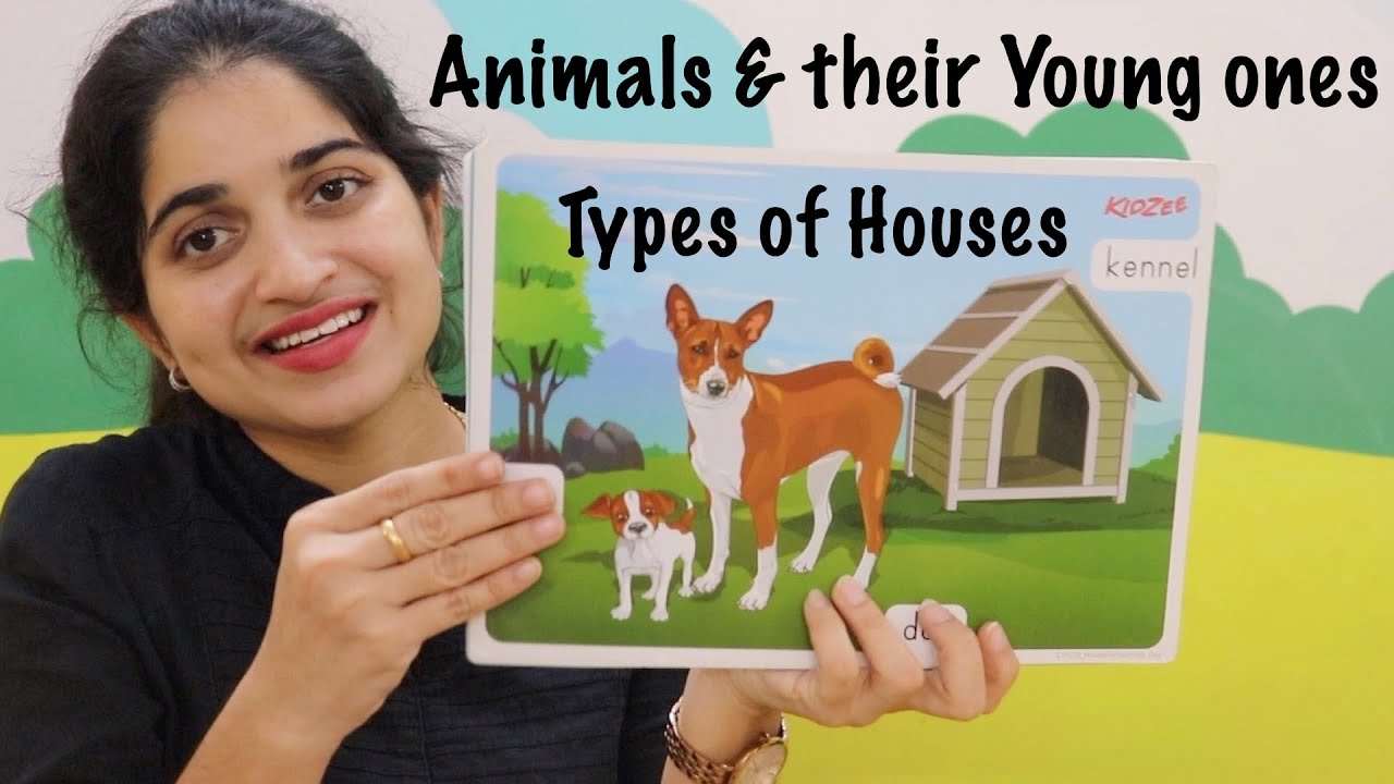Kidzee Online Preschool Learning | How to teach Animals & their Young ones & Types of Houses to kids
