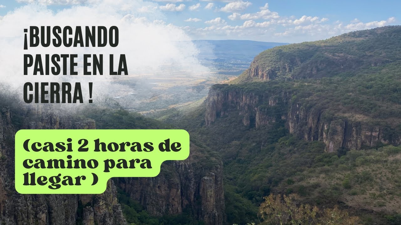 Buscando paiste para nacimiento en la montaña 