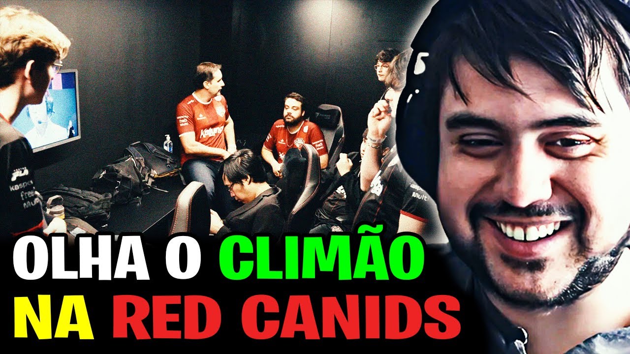 🚨 TEVE TRETA NESSE RED TO HUNT?! A RED CANIDS CONTINUA UMA VÁRZEA? TOCKERS REAGE e OPINA